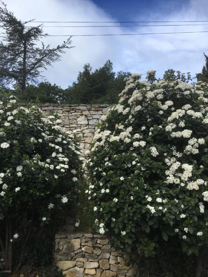 La Chambre Haute Et Son Spa Nîmes Exterior foto